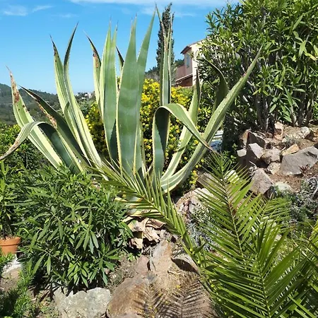 Duplex, Vue Panoramique Sur La Mediterranee, Piscine, Garage Apartman *