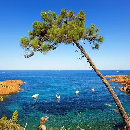 Duplex, Vue Panoramique Sur La Mediterranee, Piscine, Garage * Saint-Raphael (Var)
