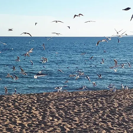 Duplex, Vue Panoramique Sur La Mediterranee, Piscine, Garage Апартаменты *