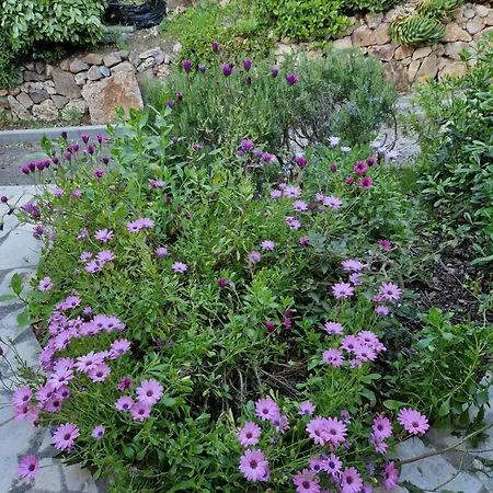 Апартаменты Duplex, Vue Panoramique Sur La Mediterranee, Piscine, Garage