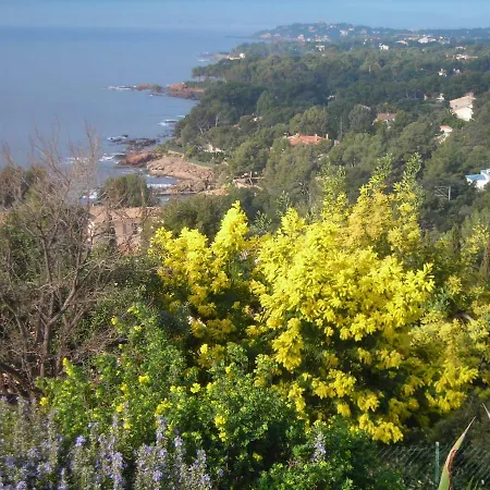 Duplex, Vue Panoramique Sur La Mediterranee, Piscine, Garage * Saint-Raphael (Var)