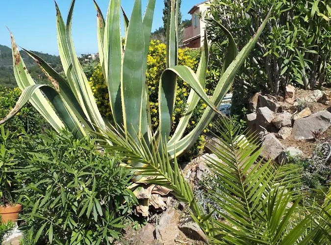 Duplex, Vue Panoramique Sur La Mediterranee, Piscine, Garage Apartmán *