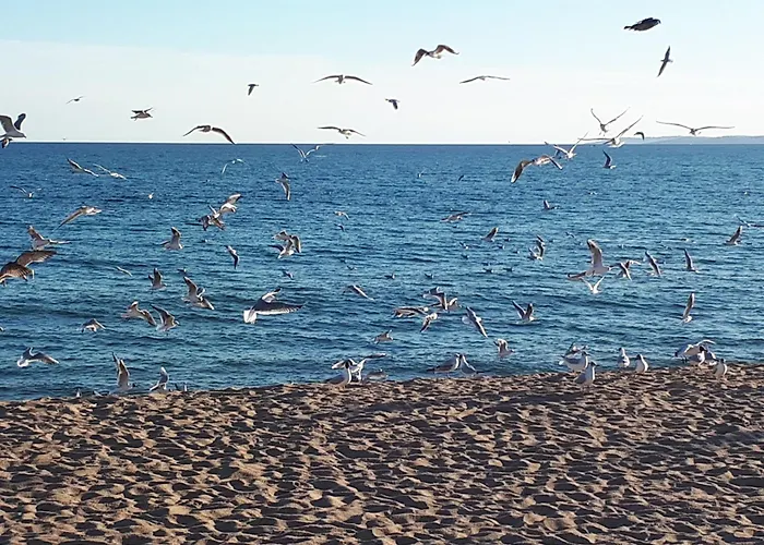 Duplex, Vue Panoramique Sur La Mediterranee, Piscine, Garage Apartmán *