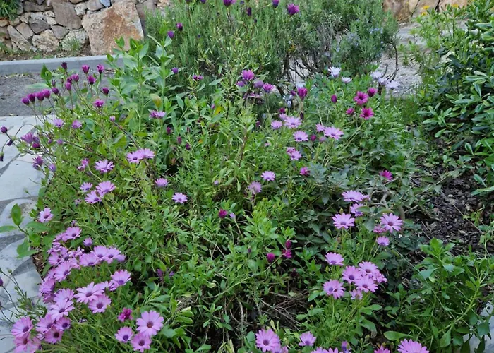 Apartmán Duplex, Vue Panoramique Sur La Mediterranee, Piscine, Garage