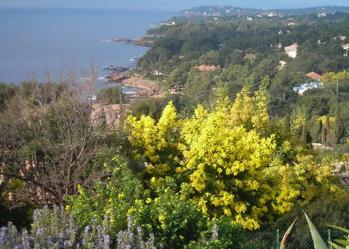 Duplex, Vue Panoramique Sur La Méditerranée, Piscine, Garage * Saint-Raphaël